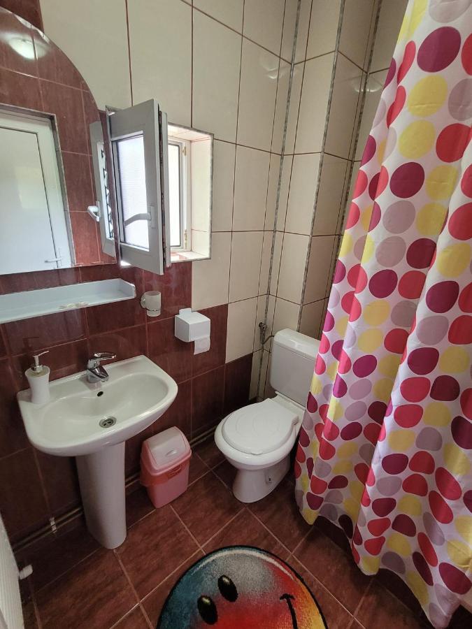 Vila Denisa Bran  Eksteriør bilde